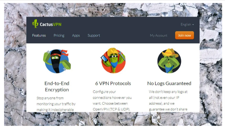 Cactus VPN